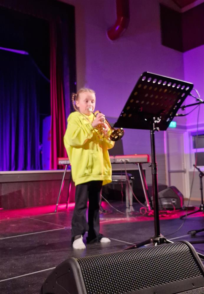 Klikk for stort bilde