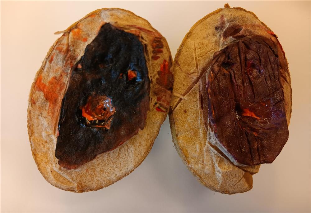 Kunstverksted høst 2024 - Klikk for stort bilde