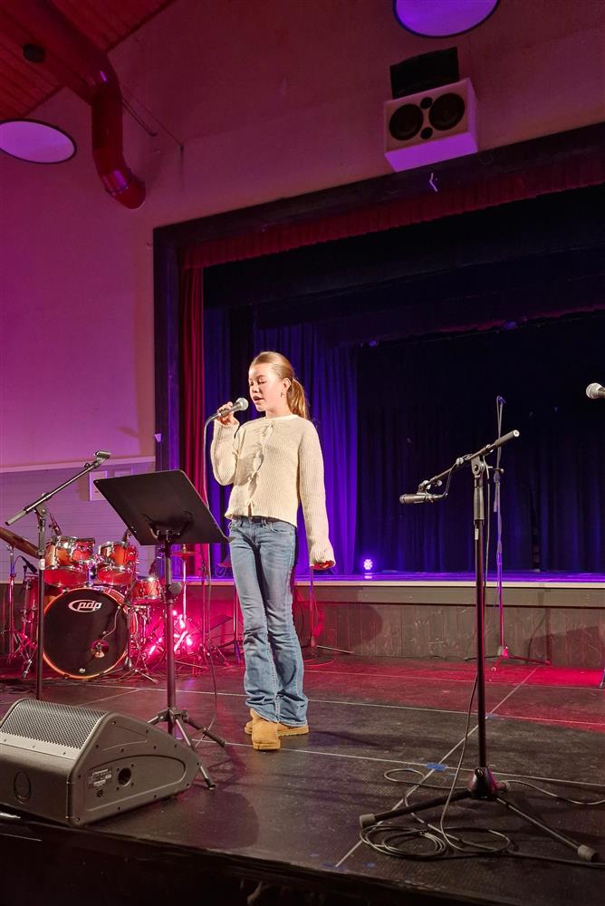 Klikk for stort bilde