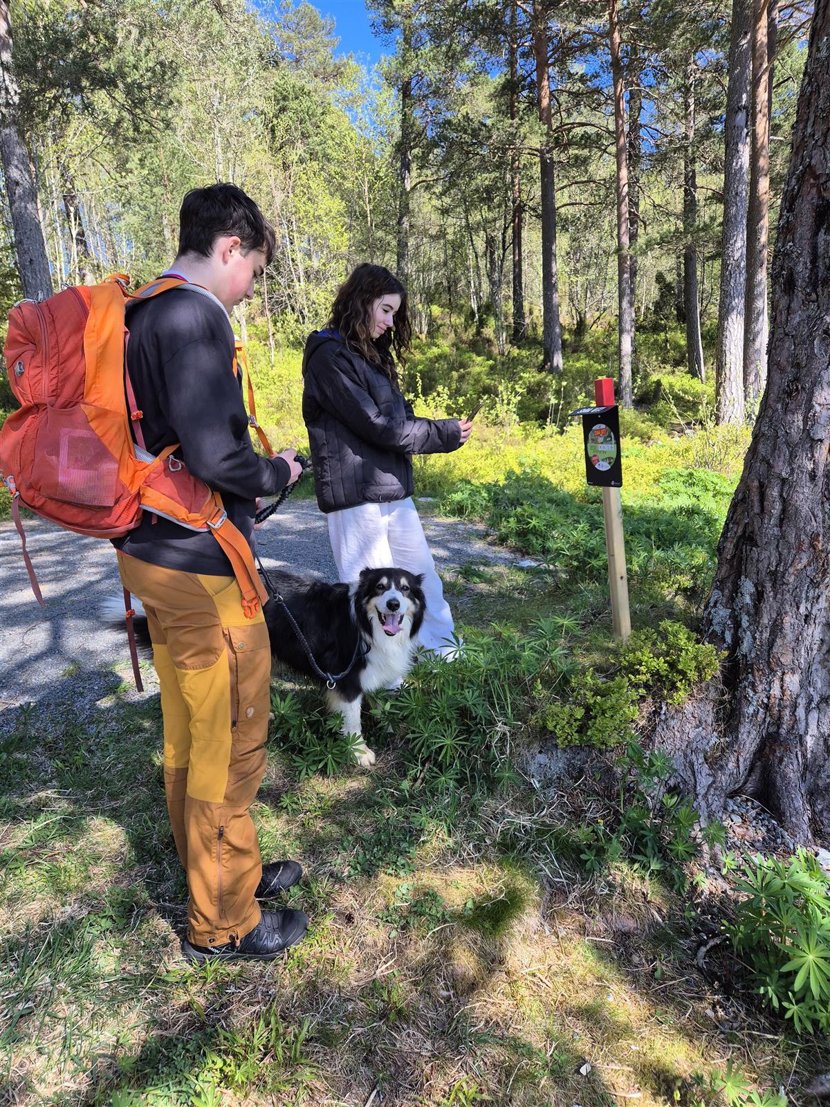 To ungdommer er ute på tur med en hund, i skogen. De står ved et Stikk UT!-turmål og skal registrere turen. - Klikk for stort bilde